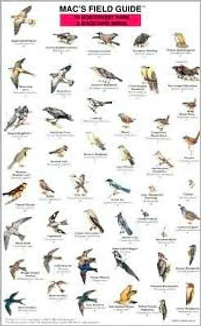 Mac's Field Guide to Northwestern Park and Backyard Birds