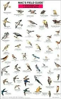 Mac's Field Guide to Northwestern Park and Backyard Birds