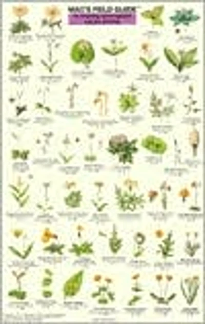 Mac's Field Guide to Pacific Northwest Flowers