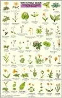 Mac's Field Guide to Pacific Northwest Flowers