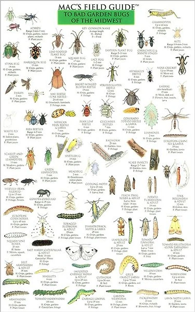 Mac's Field Guide to Bad Garden Bugs of the Midwest