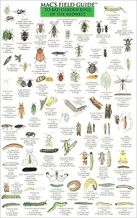 Mac's Field Guide to Bad Garden Bugs of the Midwest