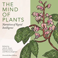 The Mind of Plants: Narratives Vegetal Intelligence
