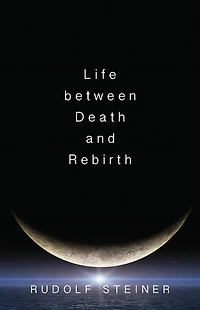 Life Between Death and Rebirth: The Active Connection Between the Living and the Dead (Cw 140)