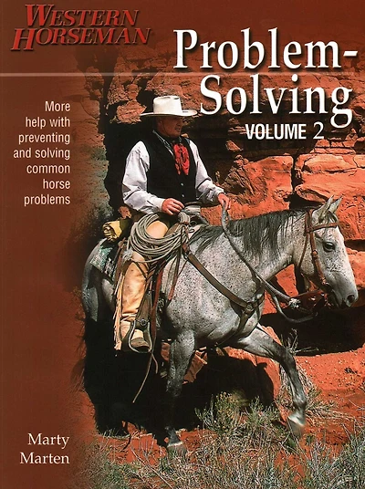 Problem-Solving
