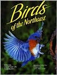 Birds of the Northeast: Washington, D.C. Through New England