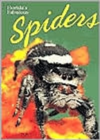 Florida's Fabulous Spiders (and Their Relatives)