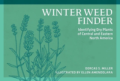 Winter Weed Finder: Identifying Dry Plants of Central and Eastern North America