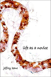 Life as a novice