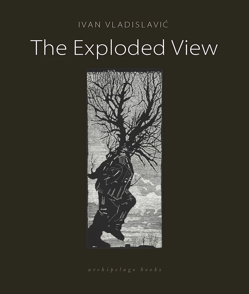 The Exploded View