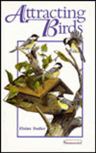 Attracting Birds