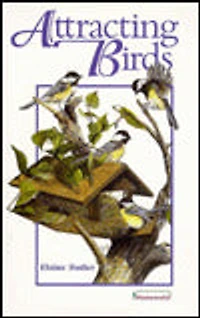 Attracting Birds