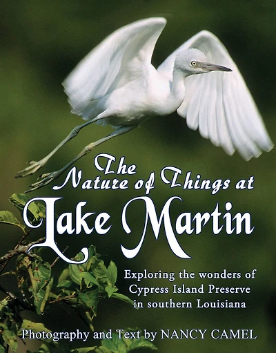 The Nature of Things at Lake Martin: Exploring the wonders of Cypress Island Preserve in southern Louisiana