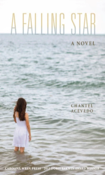 A Falling Star: Novel