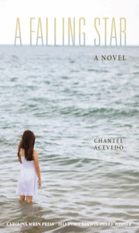 A Falling Star: Novel