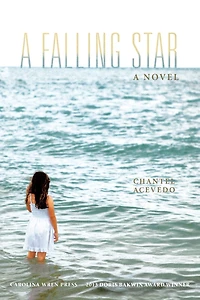 A Falling Star: Novel