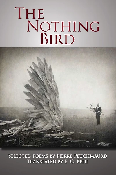 The Nothing Bird: Selected Poems