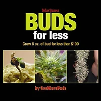Marijuana Buds for Less: Grow 8 oz. of Bud Less Than $100