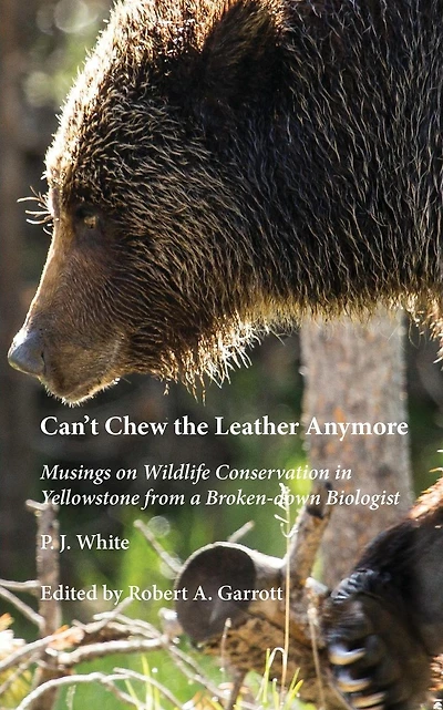 Can't Chew the Leather Anymore: Musings on Wildlife Conservation in Yellowstone from a Broken-down Biologist