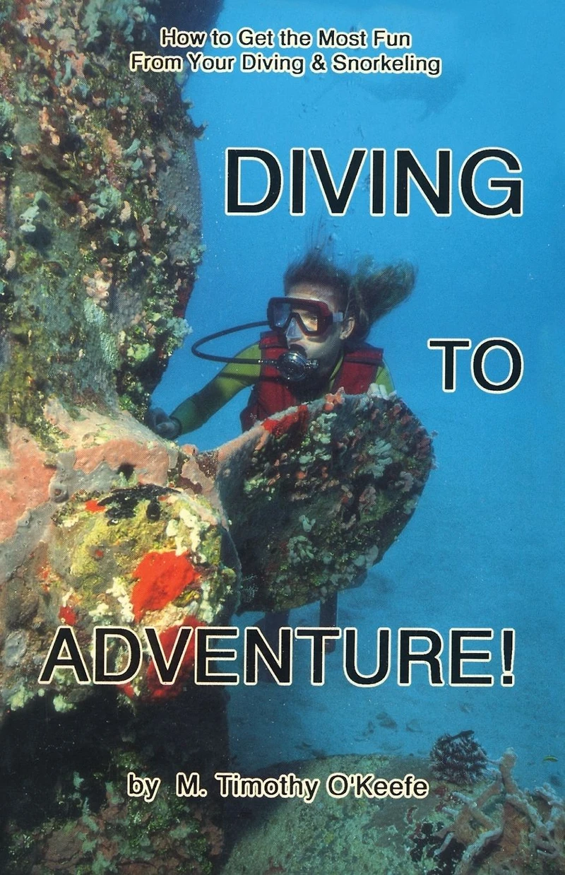 Diving to Adventure