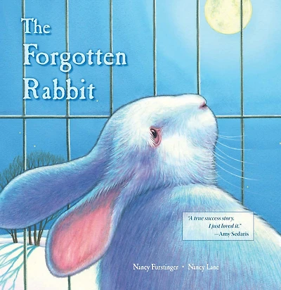 The Forgotten Rabbit