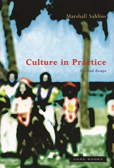 Culture in Practice: Selected Essays