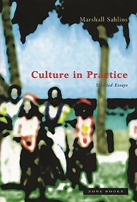 Culture in Practice: Selected Essays