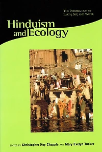 Hinduism and Ecology: The Intersection of Earth, Sky, and Water