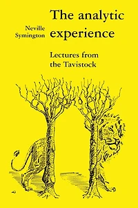 The Analytic Experience: Lectures from the Tavistock