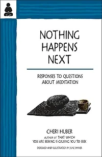Nothing Happens Next: Responses to Questions About Meditation