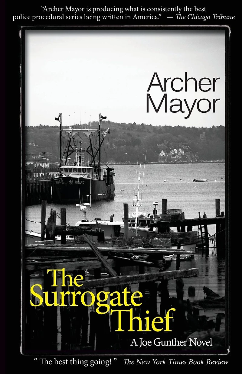 The Surrogate Thief