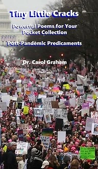 Tiny Little Cracks:Powerful Poems for Your Pocket Collection: Post-Pandemic Predicaments