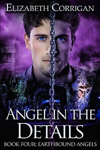 Angel the Details (Earthbound Angels, #4)