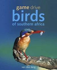 Game Drive: Birds of Southern Africa