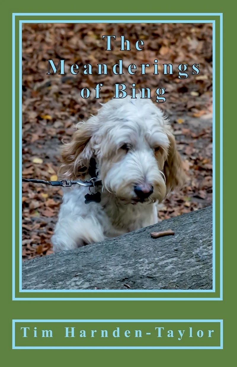 The Meanderings of Bing: A gentle, humorous look at life, snooker, whizzers and other great philosophical mysteries through the meanderings of Bing, a dog of rather large brain, and his minder Tim, as they potter through their days together.