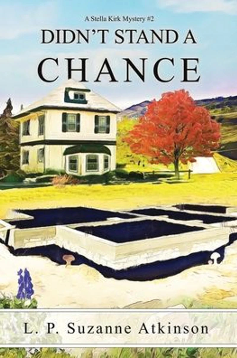 Didn't Stand A Chance: Stella Kirk Mystery #2
