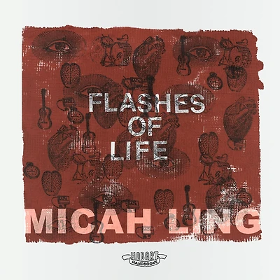 Flashes of Life