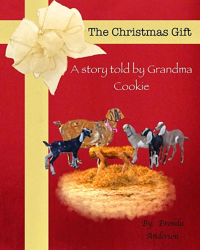 The Christmas Gift: A story told by Grandma Cookie