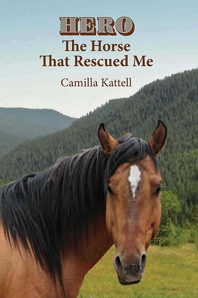 Hero The Horse That Rescued Me