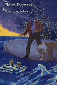 The Flood Fighters