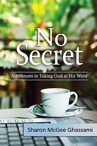 No Secret: Adventures Taking God at His Word