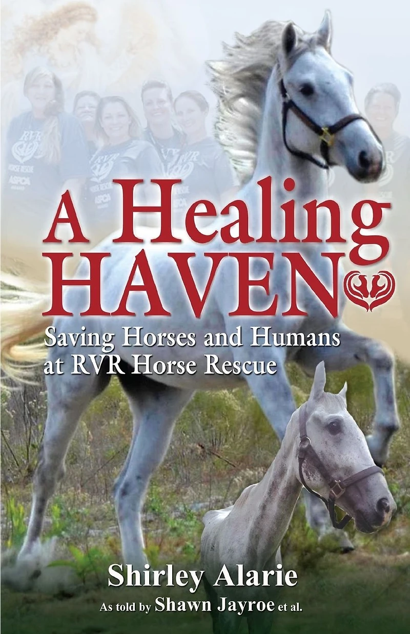 A Healing Haven: Saving Horses and Humans at RVR Horse Rescue