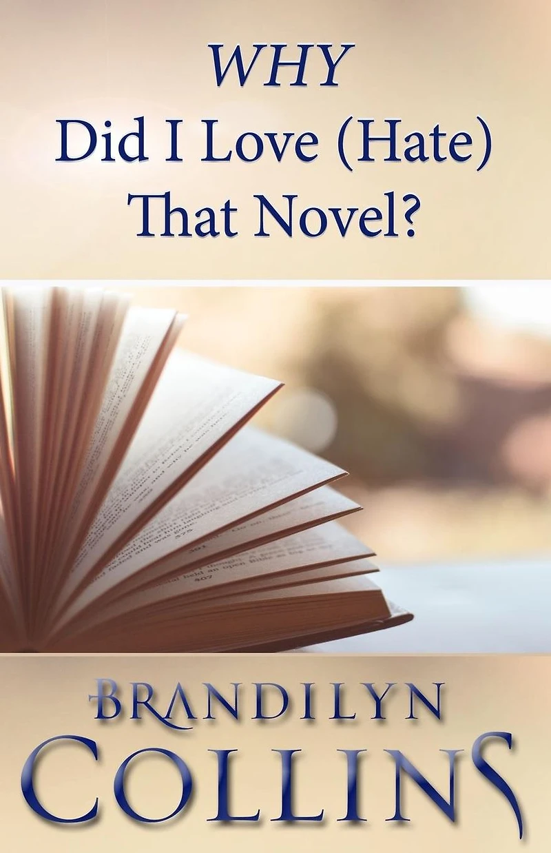 WHY Did I Love (Hate) That Novel?