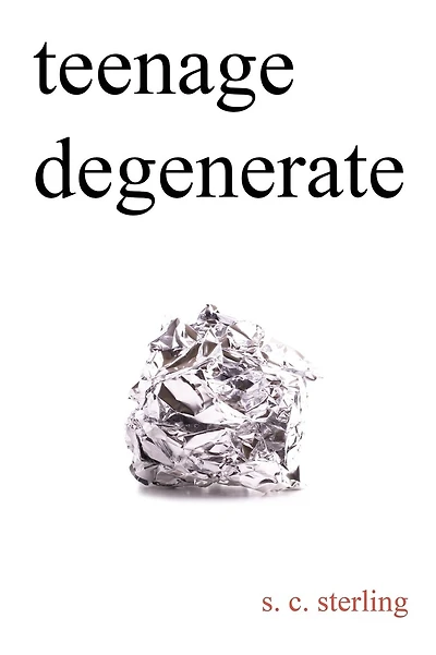 Teenage Degenerate: A Memoir that Explores the Depths of Methamphetamine and Drug Addiction