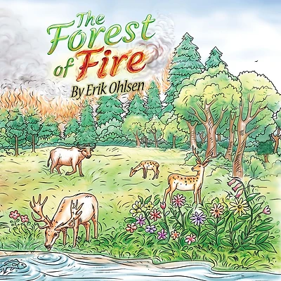 The Forest Of Fire