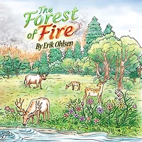 The Forest Of Fire
