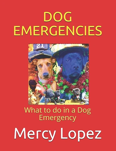 Dog Emergencies: What to do in a Dog Emergency
