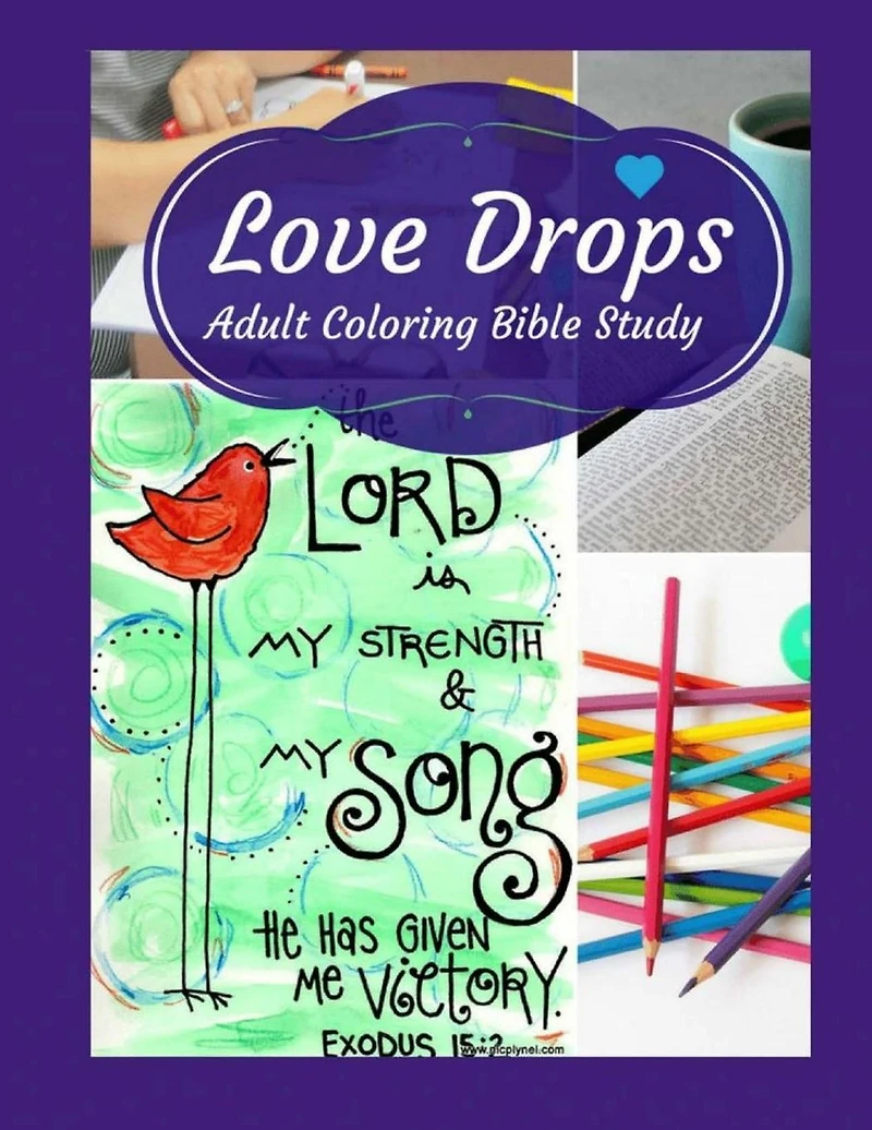 Adult Coloring Bible Study: Love Drops