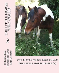The Little Horse Who Could: The Little Horse Series (1)