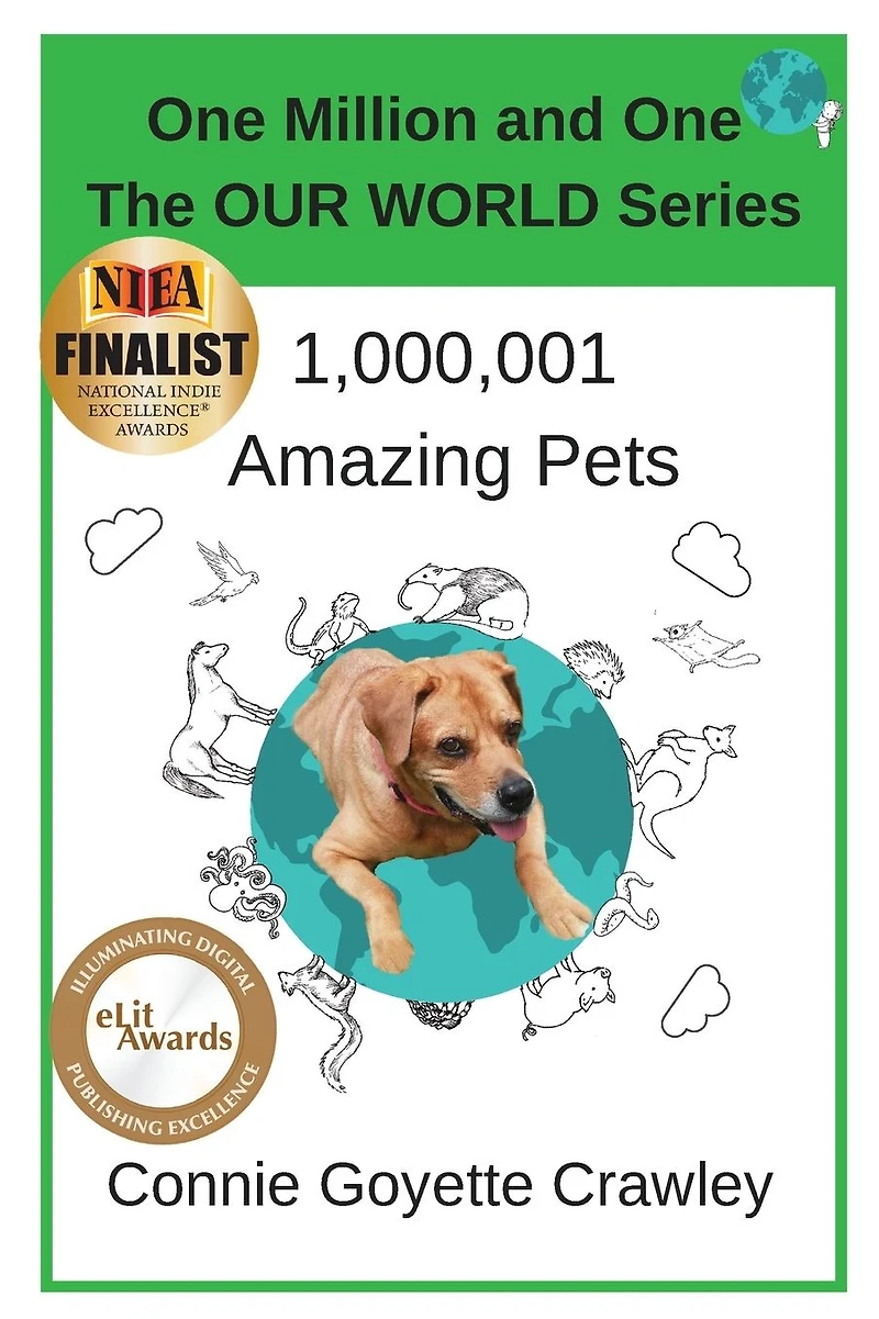 One Million and Amazing Pets